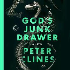 God's Junk Drawer by Peter Clines audiobook