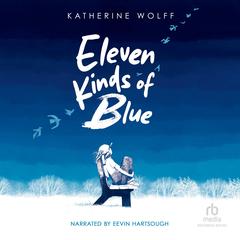 Eleven Kinds of Blue by Katherine Wolff audiobook