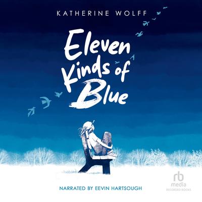Eleven Kinds of Blue by Katherine Wolff audiobook
