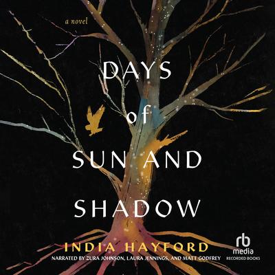 Days of Sun and Shadow by India Hayford audiobook