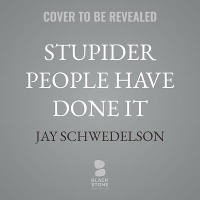 Stupider People Have Done It by Jay Schwedelson audiobook