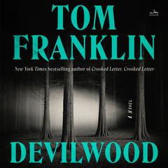 Devilwood by Tom Franklin audiobook