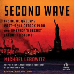 Second Wave by Michael Lebowitz audiobook
