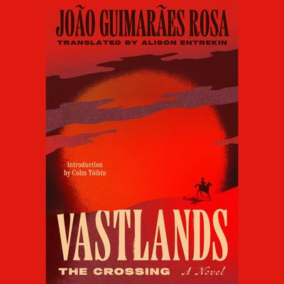 The Vastlands: The Crossing by João Guimarães Rosa audiobook