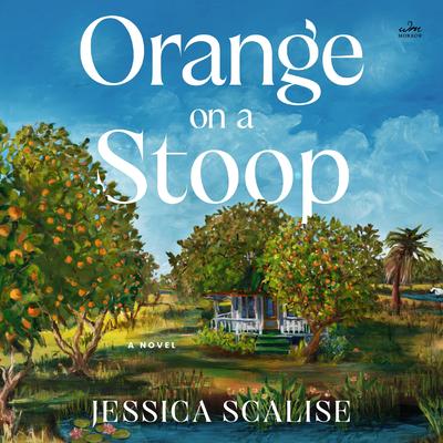 Orange on a Stoop by Jessica Scalise audiobook