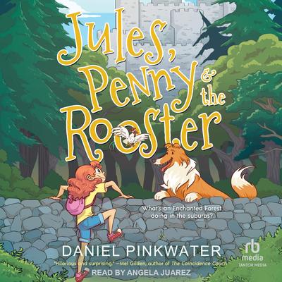 Jules, Penny & The Rooster by Daniel Pinkwater audiobook