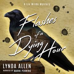 Flashes of a Dying Hour by Lynda Allen audiobook