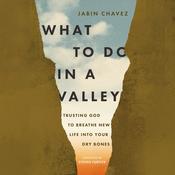 What to Do in a Valley by  Jabin Chavez audiobook