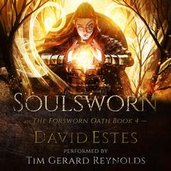 Soulsworn by David Estes audiobook