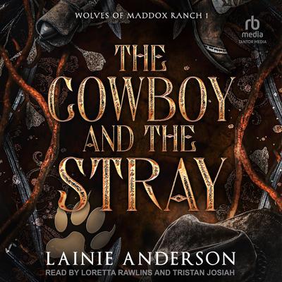 The Cowboy and the Stray by Lainie Anderson audiobook
