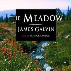 The Meadow by James Galvin audiobook