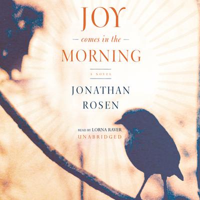 Joy Comes in the Morning by Jonathan Rosen audiobook