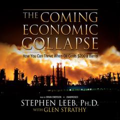The Coming Economic Collapse by Stephen Leeb audiobook