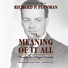 The Meaning of It All by Richard P. Feynman audiobook