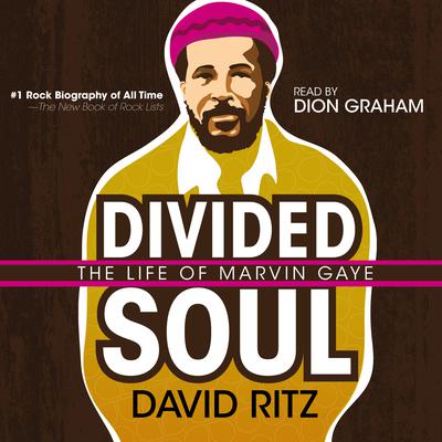 Divided Soul by David Ritz audiobook