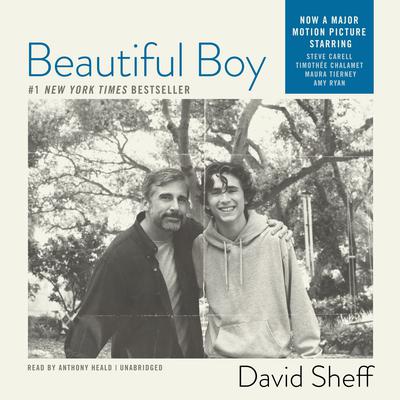 Beautiful Boy by David Sheff audiobook