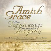 Amish Grace by  Donald B. Kraybill audiobook