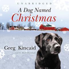 A Dog Named Christmas by Greg Kincaid audiobook