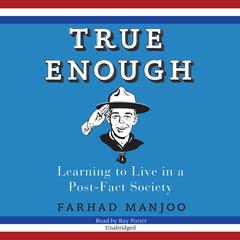 True Enough by Farhad Manjoo audiobook