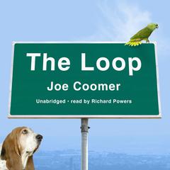 The Loop by Joe Coomer audiobook