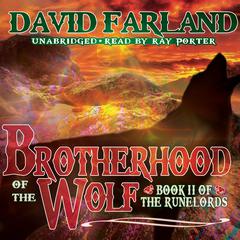 Brotherhood of the Wolf by David Farland audiobook