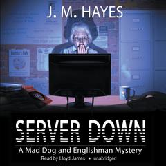 Server Down by J. M. Hayes audiobook