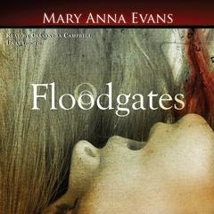 Floodgates by Mary Anna Evans audiobook