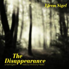 The Disappearance by Efrem Sigel audiobook