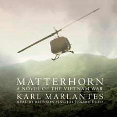 Matterhorn by Karl Marlantes audiobook