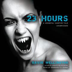 23 Hours by David Wellington audiobook