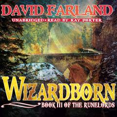 Wizardborn by David Farland audiobook