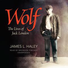 Wolf by James L. Haley audiobook