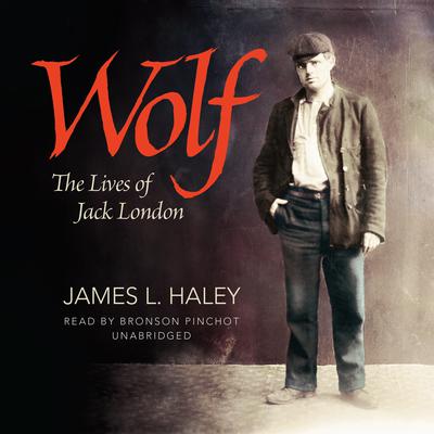 Wolf by James L. Haley audiobook