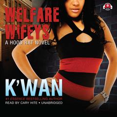 Welfare Wifeys by K’wan audiobook