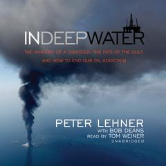 In Deep Water by Peter Lehner audiobook