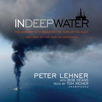 In Deep Water by Peter Lehner audiobook
