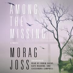 Among the Missing by Morag Joss audiobook