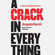 A Crack in Everything by  Angela Gerst audiobook