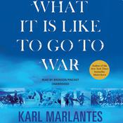What It Is Like to Go to War by  Karl Marlantes audiobook