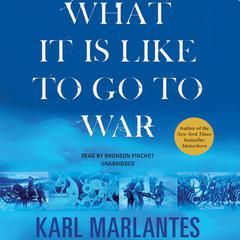 What It Is Like to Go to War by Karl Marlantes audiobook