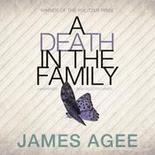 A Death in the Family by  James Agee audiobook