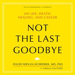 Not the Last Goodbye by David Servan-Schreiber audiobook