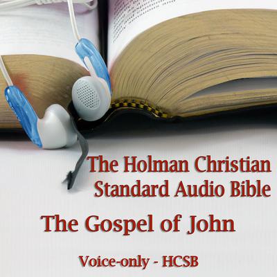 The Gospel of John by Made for Success audiobook