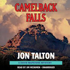 Camelback Falls by Jon Talton audiobook