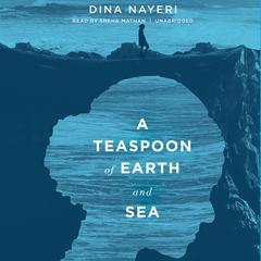 A Teaspoon of Earth and Sea by Dina Nayeri audiobook