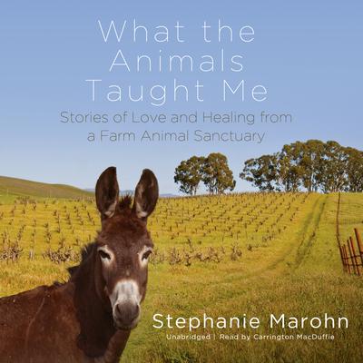 What the Animals Taught Me by Stephanie Marohn audiobook