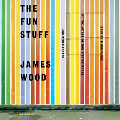 The Fun Stuff by James Wood audiobook