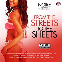 From the Streets to the Sheets by Noire  audiobook