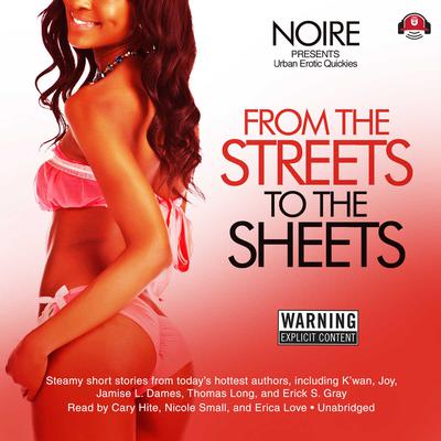 From the Streets to the Sheets by Noire  audiobook