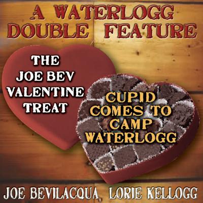 A Waterlogg Double Feature by Joe Bevilacqua audiobook